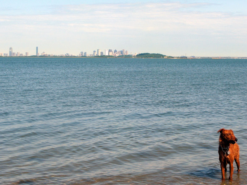 Lola and the Skyline