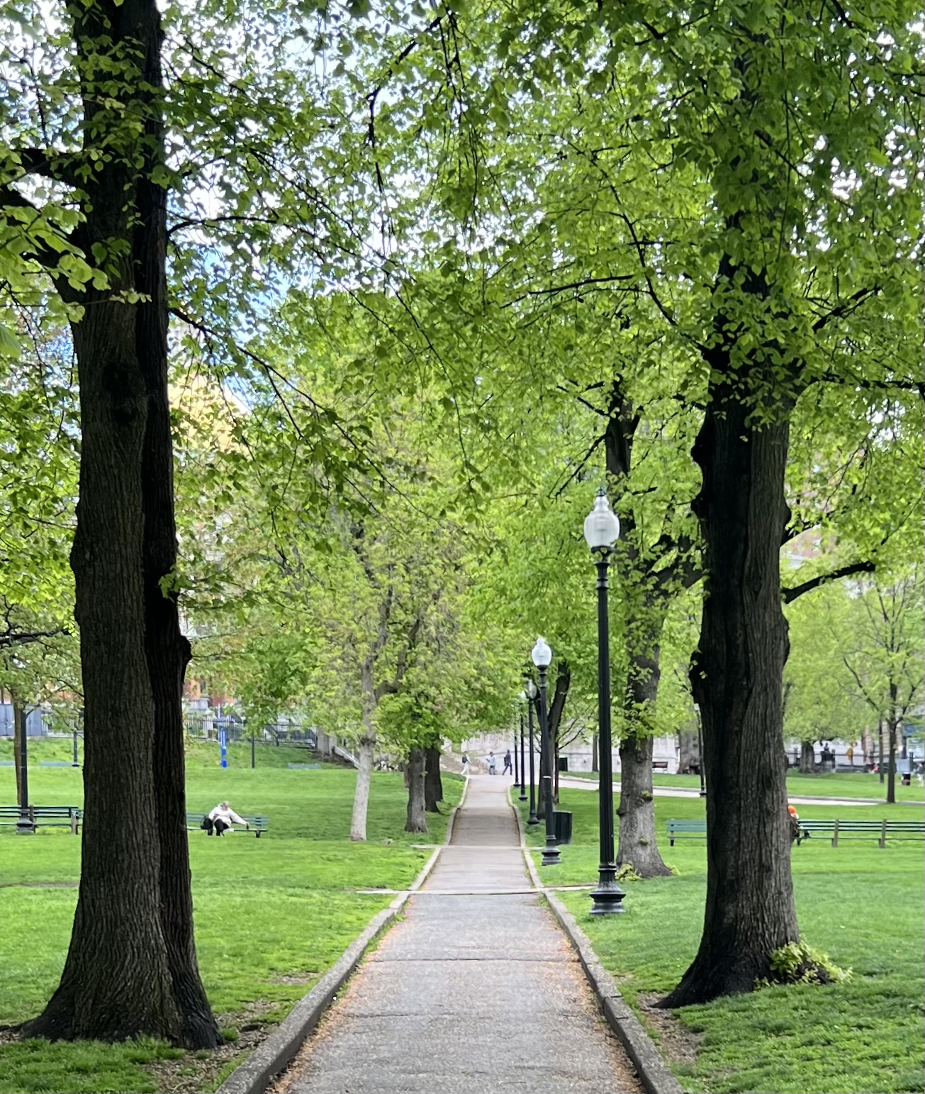 Boston photograph